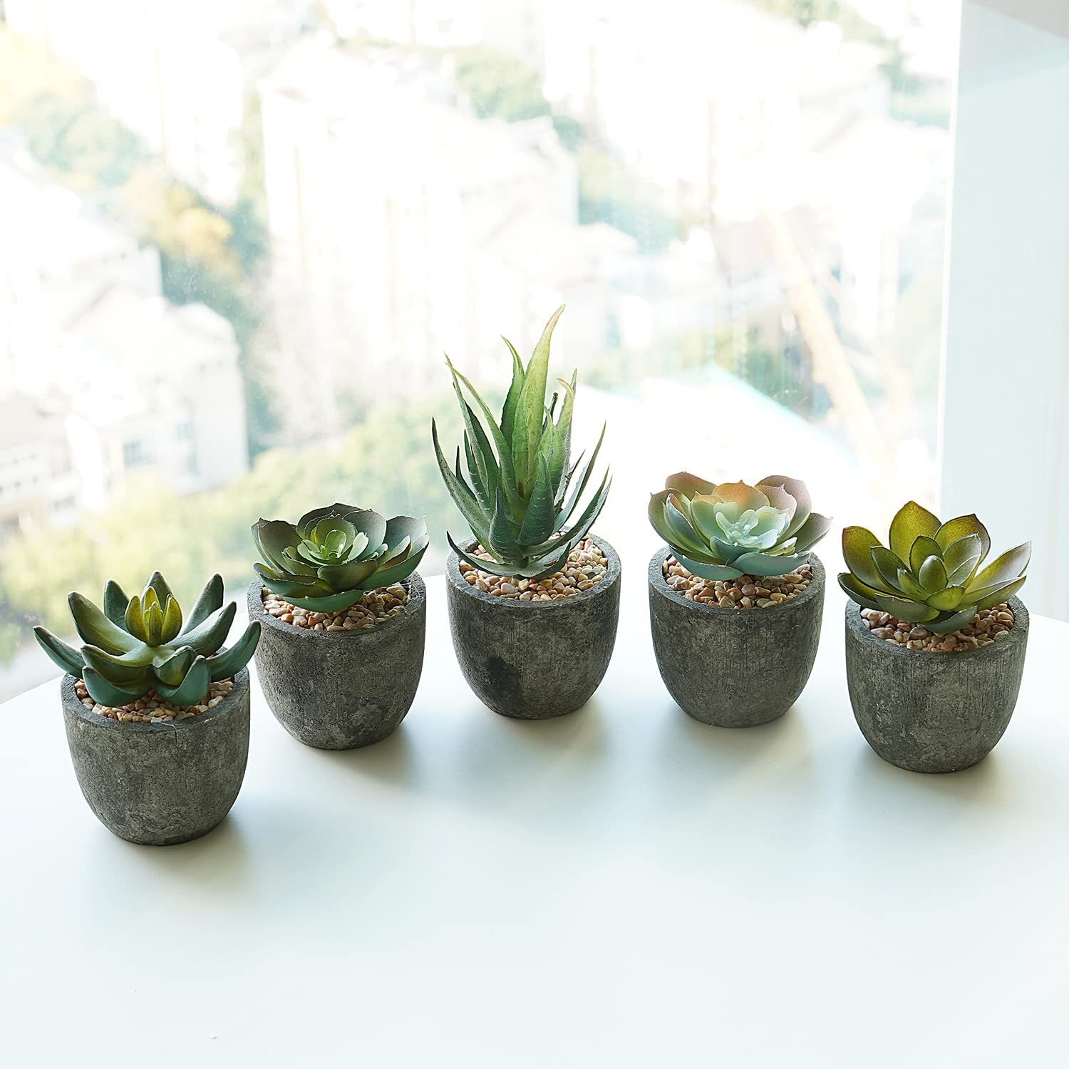 Artificial Succulent Plants Plastic Faux Cactus Aloe for Home Garden Decor 