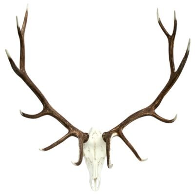 Union Rustic Elk European Wall Decor Reviews Wayfair