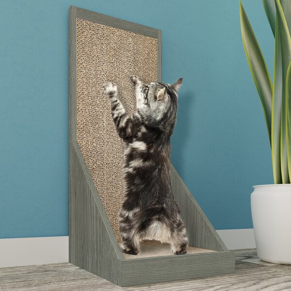 cat scratch pads for walls