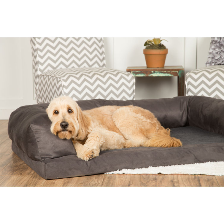 baxter couch dog bed