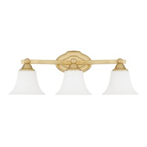 Destrey 3-Light Bell Vanity Light