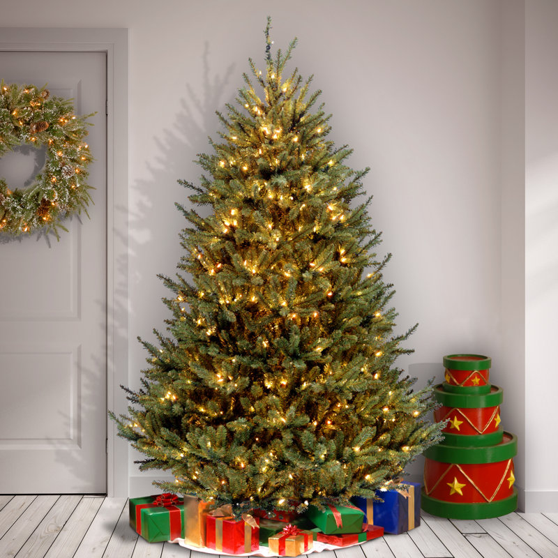 Red Barrel Studio Natural Fraser Fir 7 5 Green Christmas Tree With 750 Clear White Lights Reviews Wayfair
