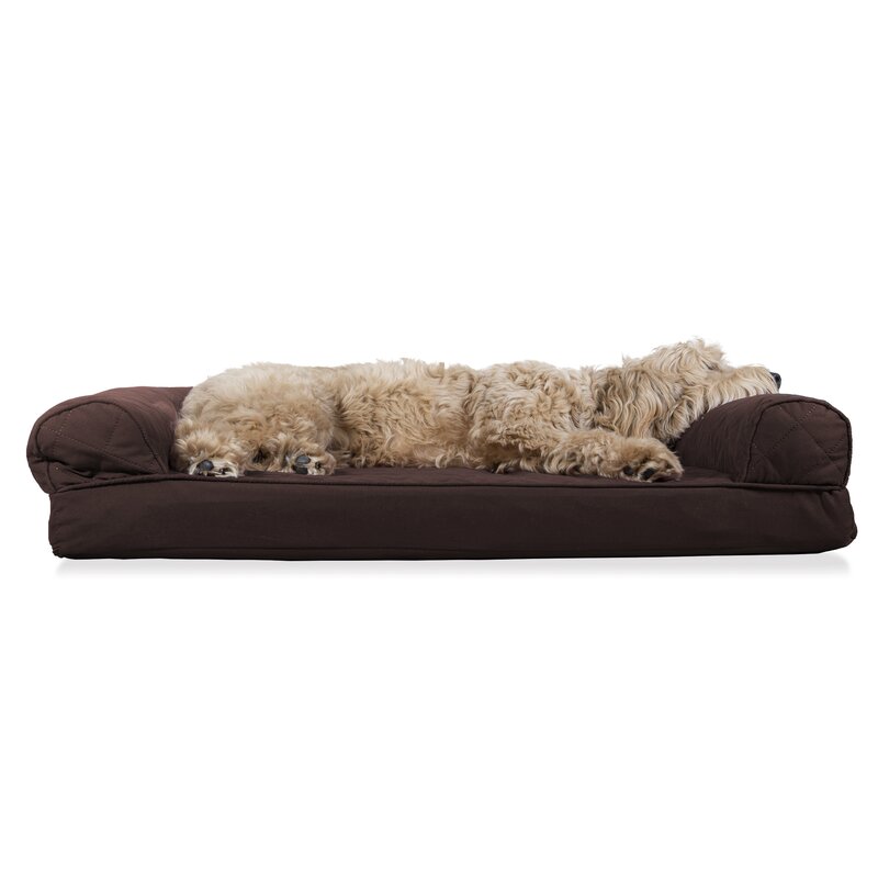 orthopedic dog couch bed