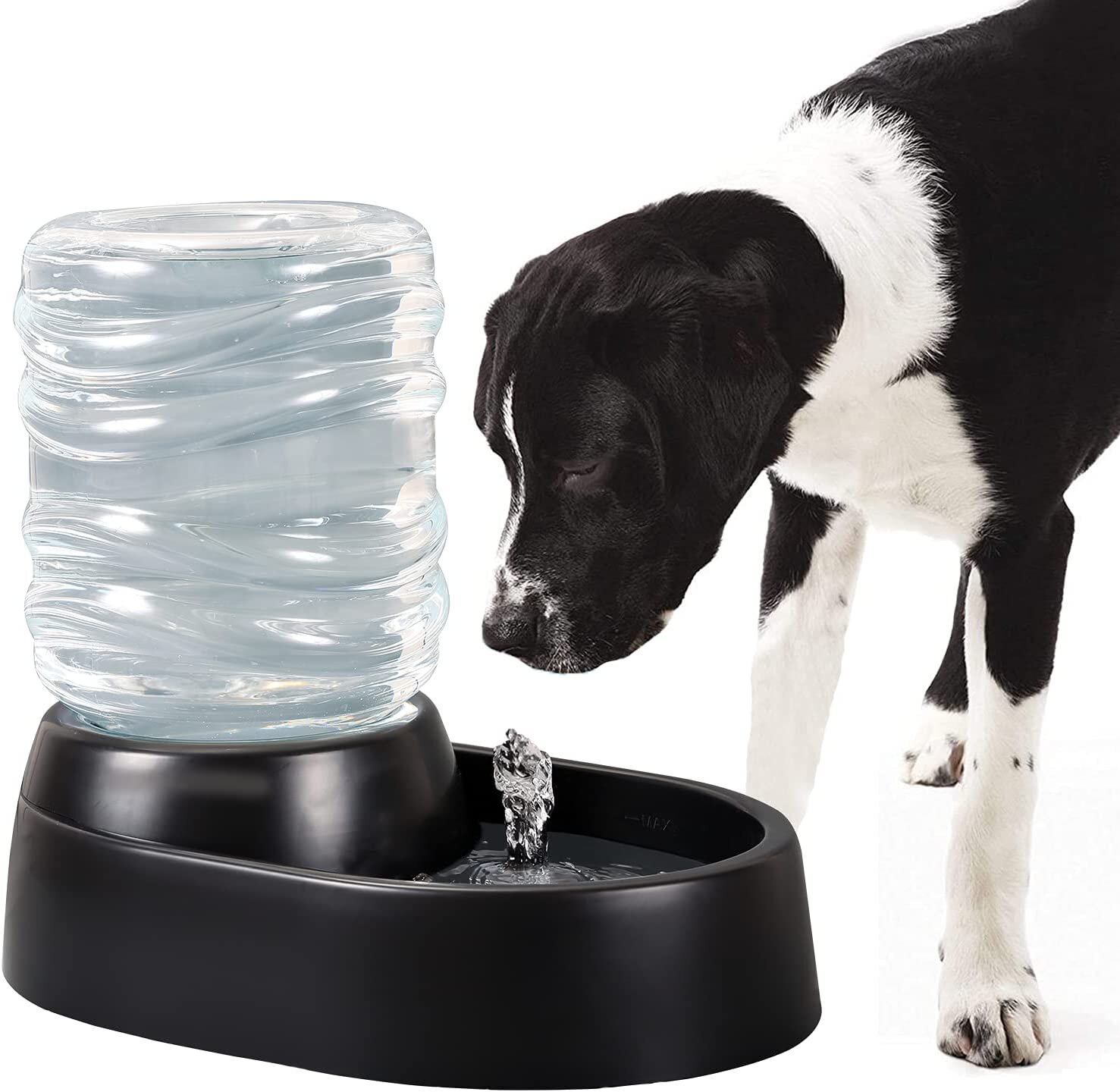 https://secure.img1-fg.wfcdn.com/im/84354836/compr-r85/1677/167775326/electric-dog-water-bowl-dispenser-automatic-water-dish.jpg