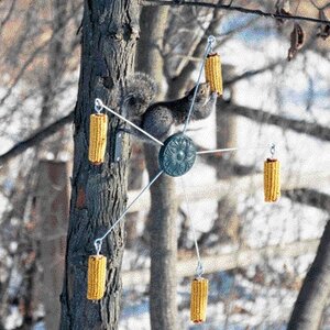 Go Round Squirrel Feeder