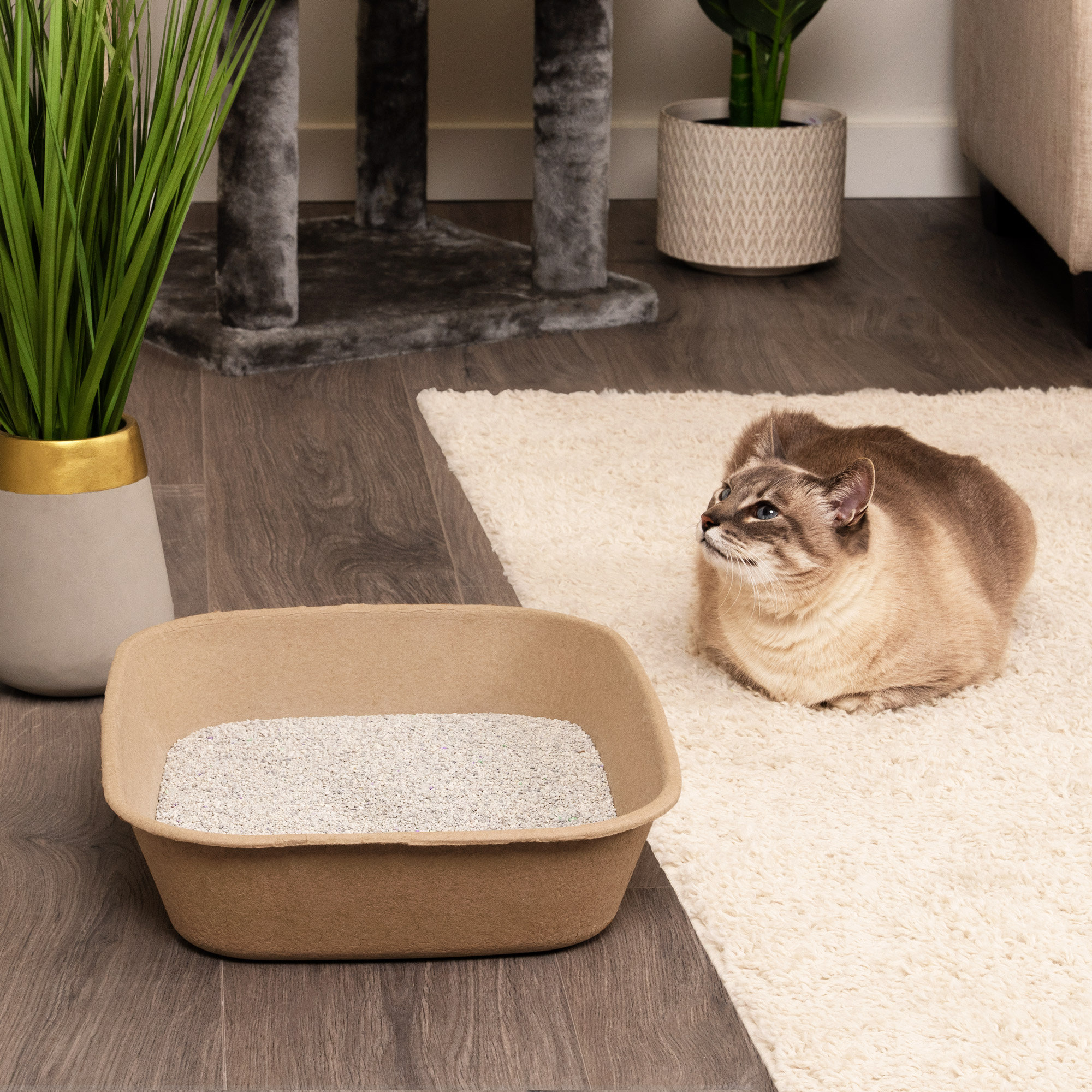 Biodegradable Kitty Litter Liners