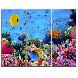 Underwater Coral Fish Sea Ocean 2.1 Wall Art Canvas Picture Print