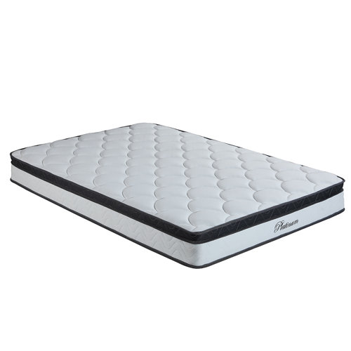 Alwyn Home Two Sided 10 Plush Pillow Top Mattress Reviews Wayfair