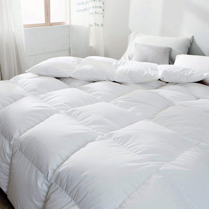 Alwyn Home Lightweight All Season Goose Down Comforter Reviews