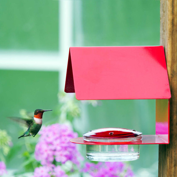 Forup Hummingbird Feeder Glass Bird Feeders 5 Feeding Stations 10