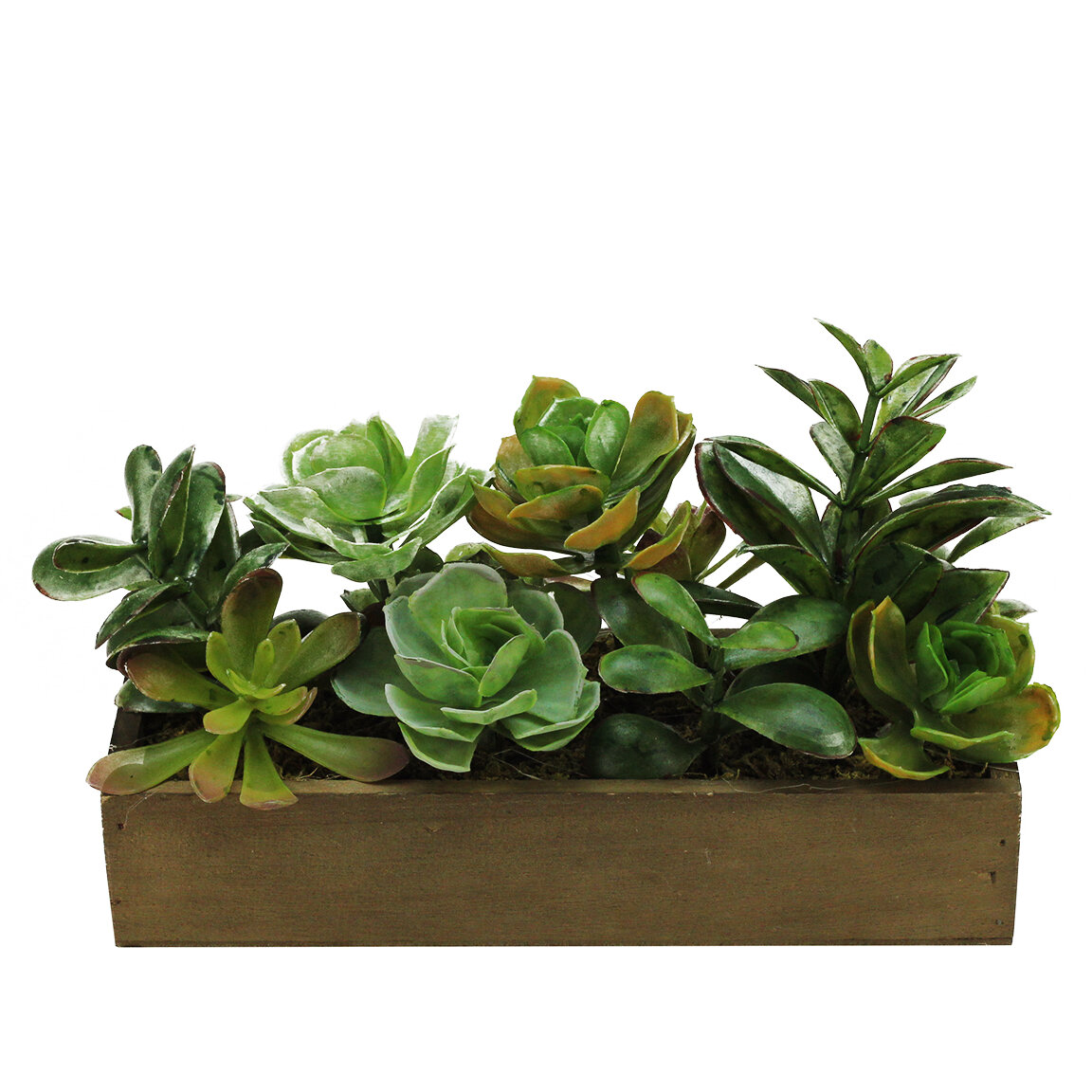 Northlight 115 Artificial Mixed Succulent Plants In A Wooden Planter Box Wayfair 7297