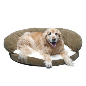Ortho Sleeper Bolster Dog Bed