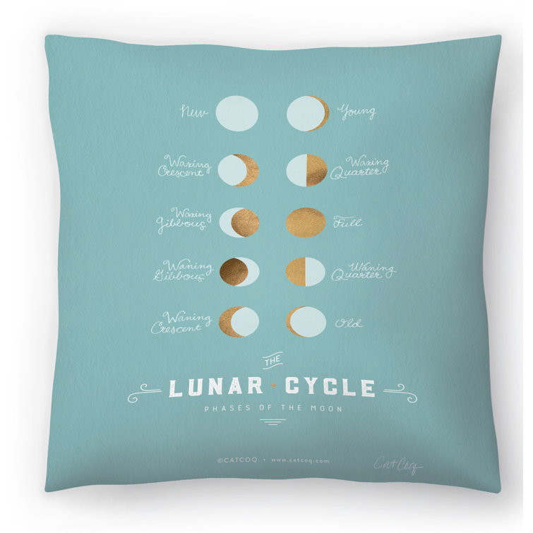 robins egg blue throw pillow