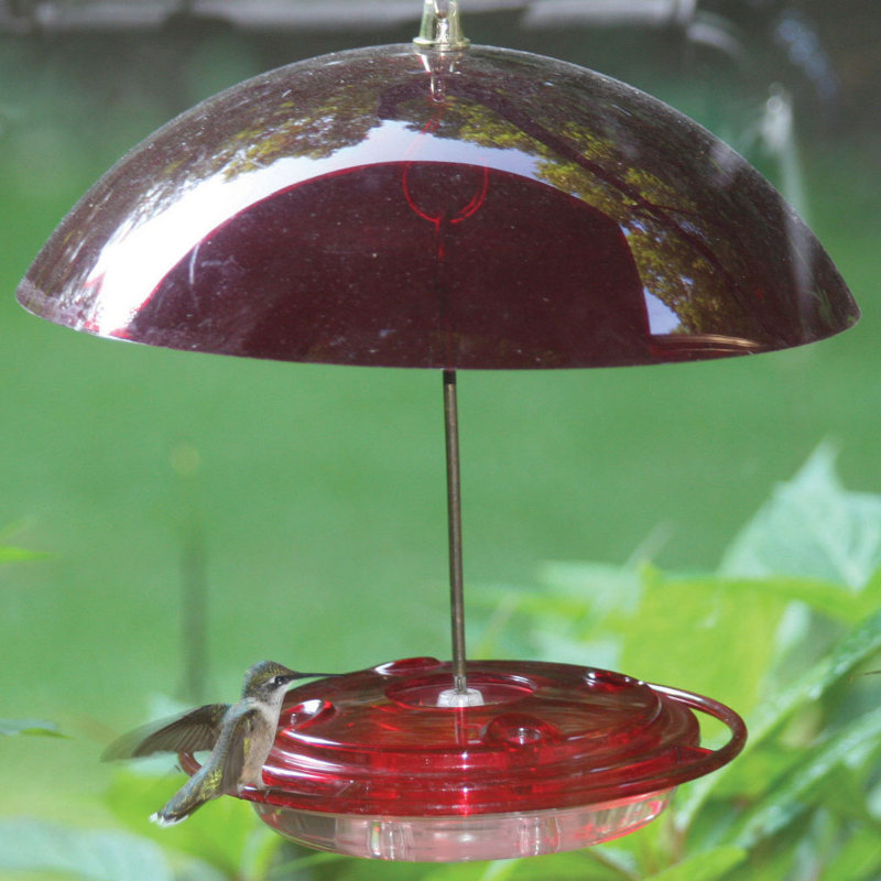 Birds Choice Hummerdome Hummingbird Feeder Wayfair