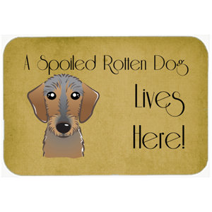 Wirehaired Dachshund Spoiled Dog Lives Here Kitchen/Bath Mat