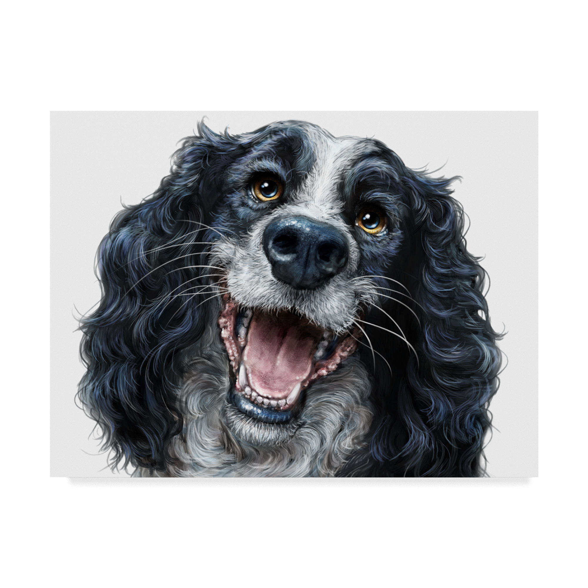 blue springer spaniel