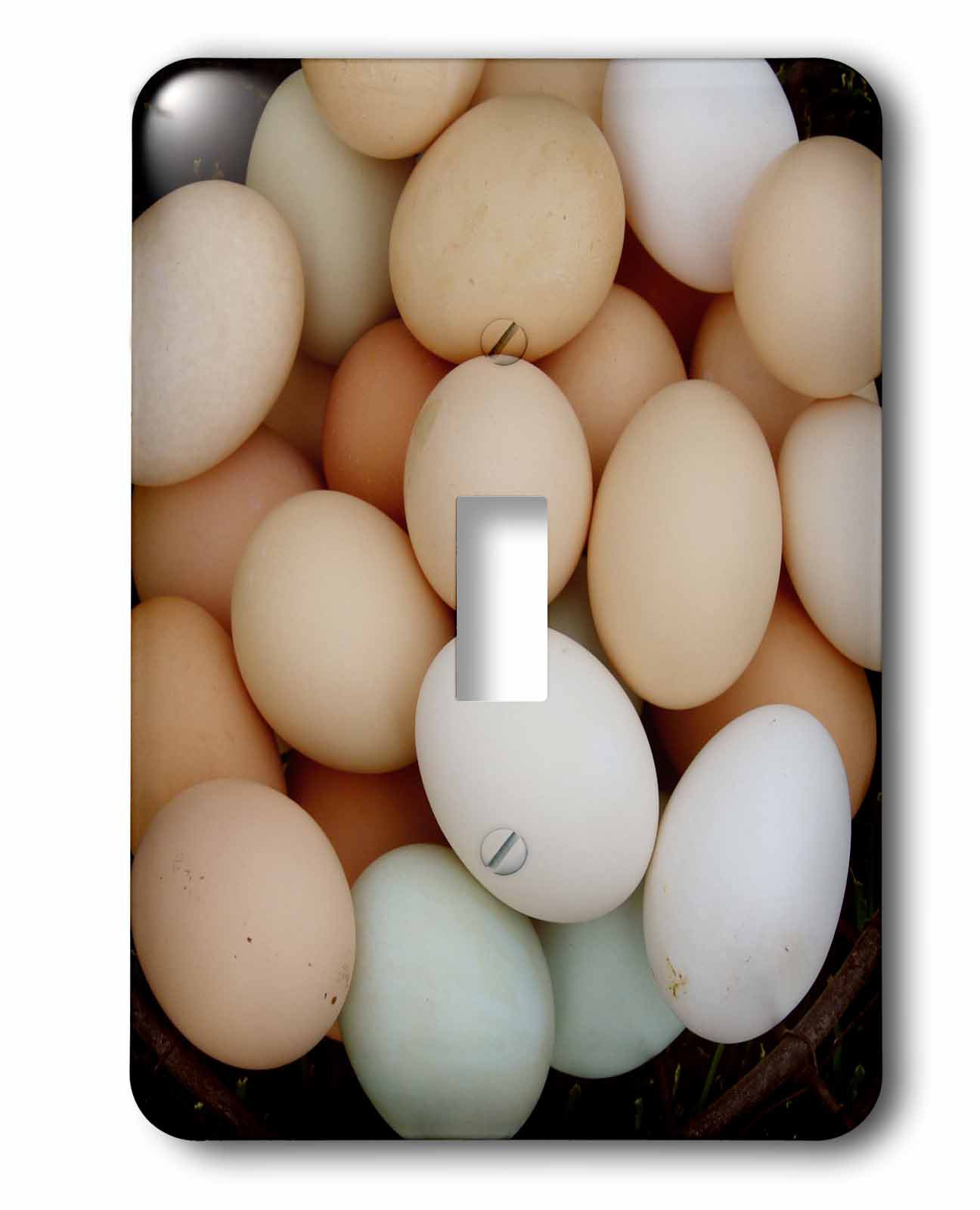 3drose Switch Chicken Eggs By Angelandspot 1 Gang Toggle Light Switch Wall Plate Wayfair