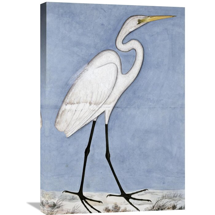 Global Gallery Great Egret Painting Print On Wrapped Canvas 