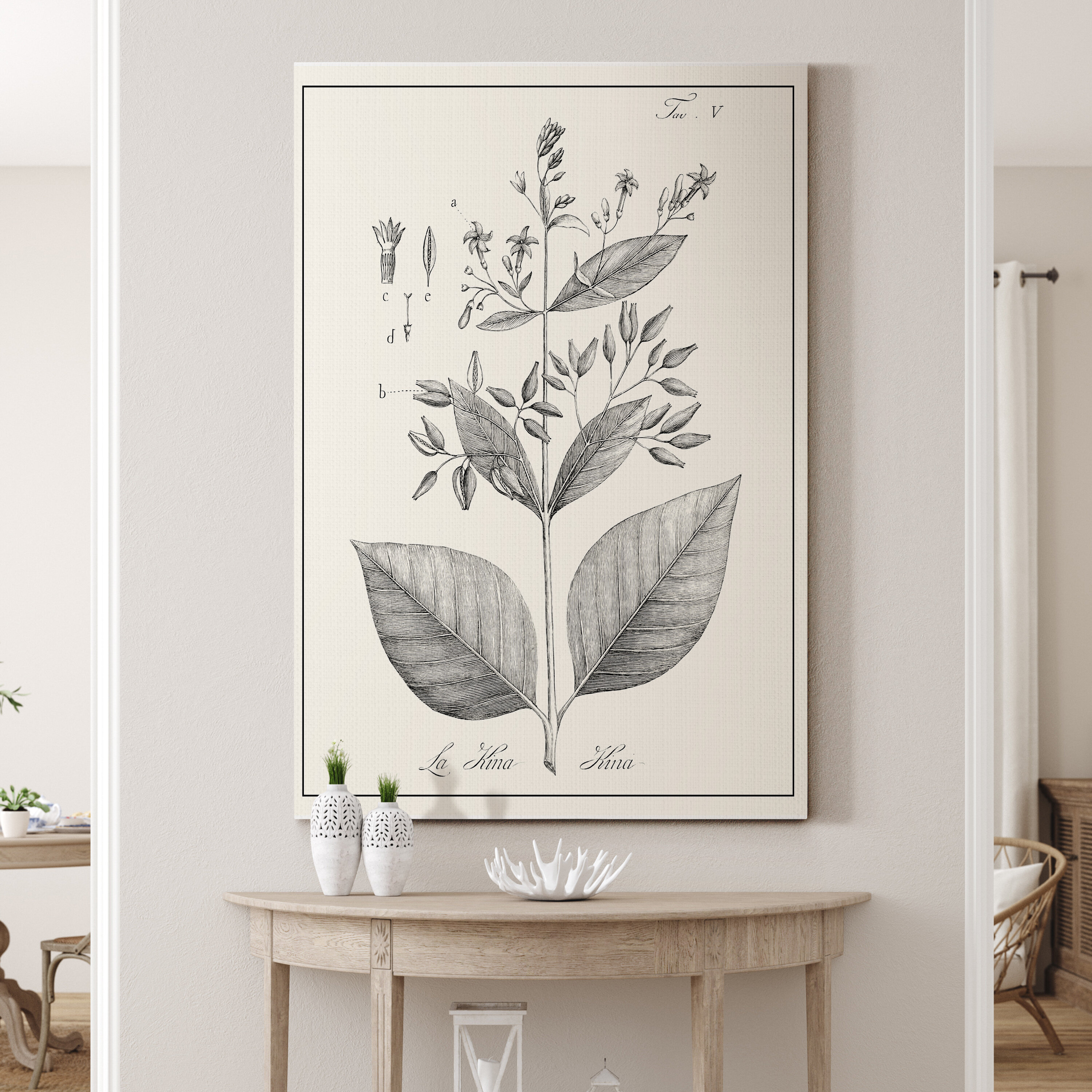 Three Posts™ Antique Black & White Botanical - Wrapped Canvas Painting ...