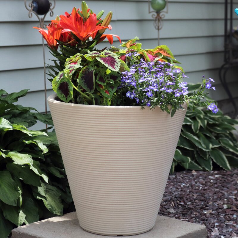 Bay Isle Home Chandra Flower Resin Pot Planter & Reviews | Wayfair