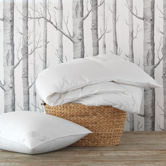 Loure Summer Down Alternative Comforter Reviews Joss Main