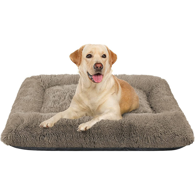 wayfair large dog beds