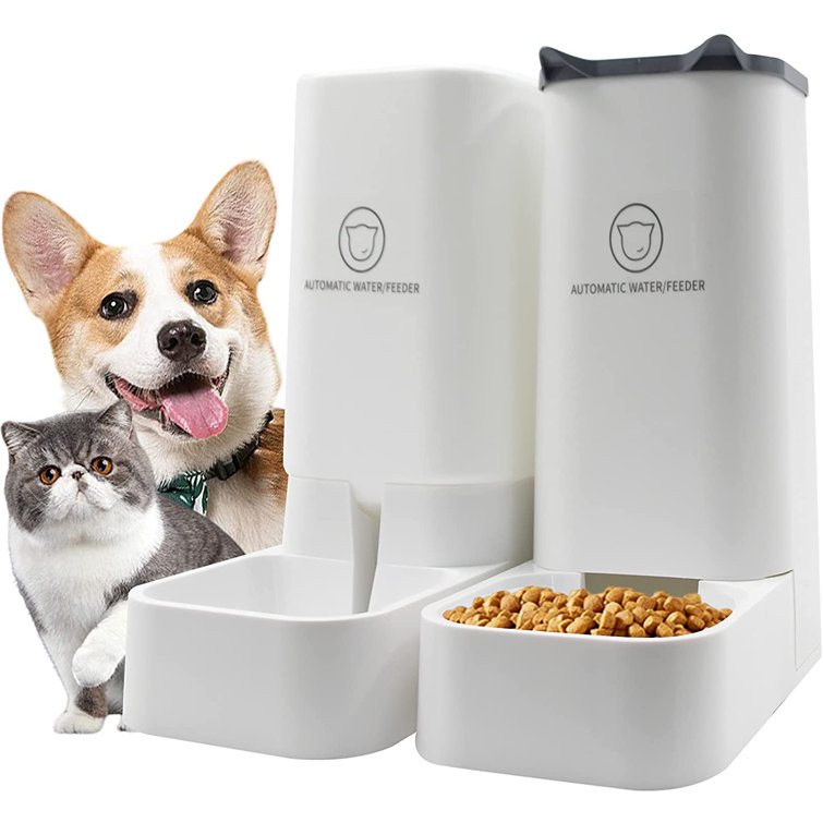automatic dog food dispenser