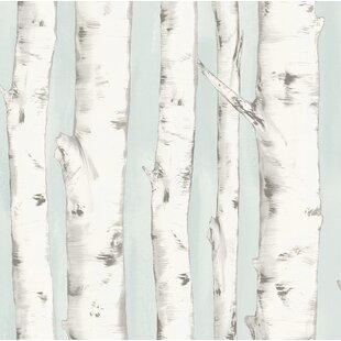 White Birch Tree Wallpaper Wayfair