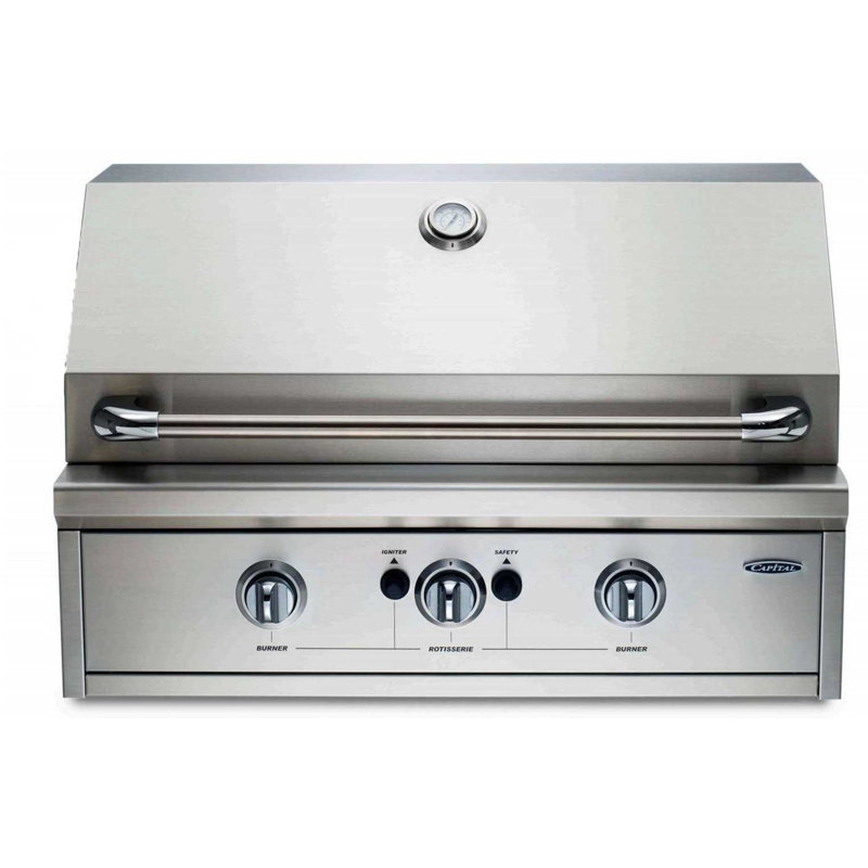 Capital Professional Capital 2 Burner Built In 40000 Btu Gas Grill Wayfair