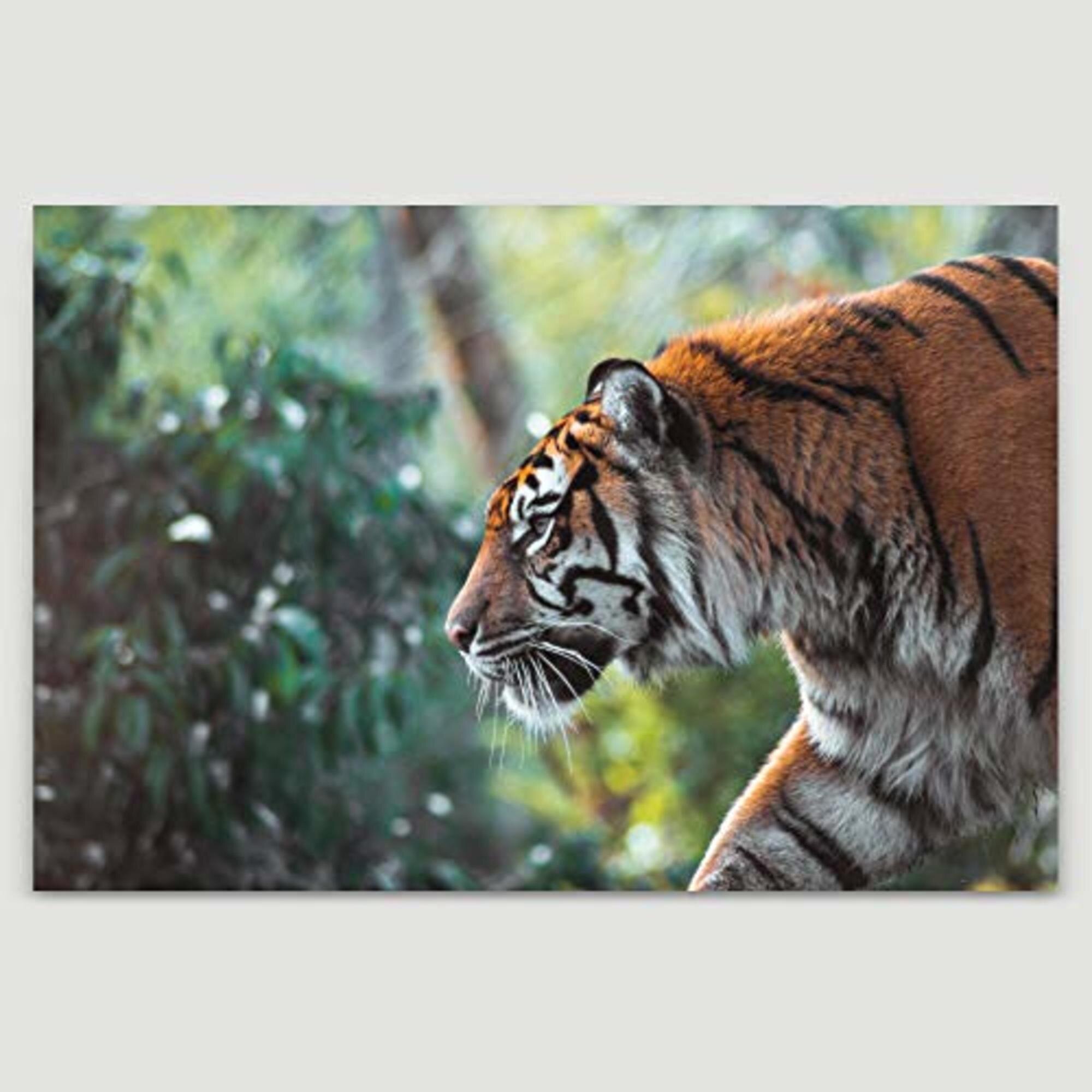 SIGNLEADER Tiger Walking In The Forest - Wrapped Canvas Print | Wayfair