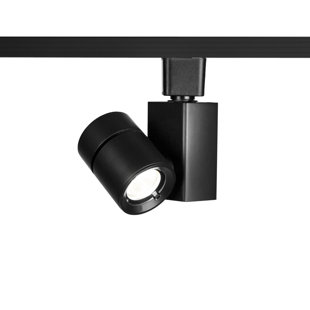 Best Exterminator II Track Head By WAC Lighting Ceiling Lights Exterminator II Track Head By WAC Lighting Ceiling Lights