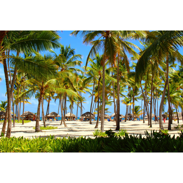 Bay Isle Home Palm Tree Forest - Wrapped Canvas Photograph | Wayfair