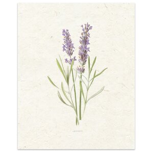 'Lavender' by Terri Ellis Painting Print in Tan
