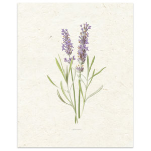 'Lavender' by Terri Ellis Painting Print in Tan