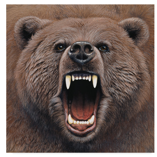 Trademark Art Bear Portrait Acrylic Painting Print On Wrapped