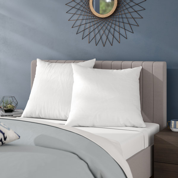 28 X 28 Euro Pillow Insert Wayfair