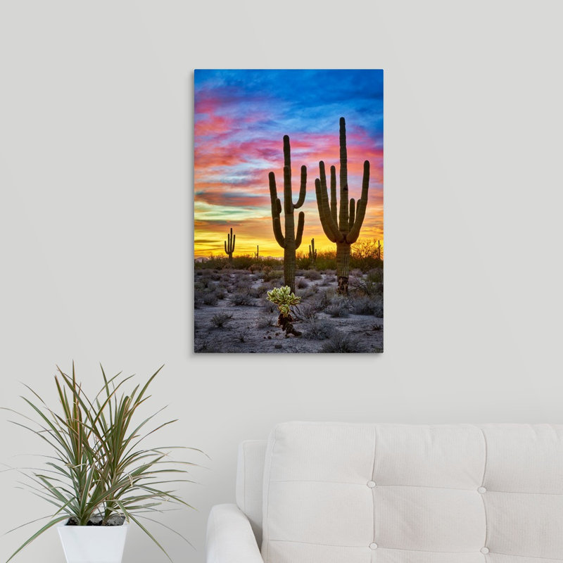Matt Suess Photography Sunset In The Desert With Saguaro Cactus