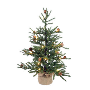 Carmel 2ft Green Pine Artificial Christmas Tree With 35 Lights Carmel 2ft Green Pine Artificial Christmas Tree With 35 Lights