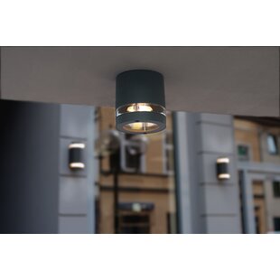 Warnant Outdoor Flush Mount By Sol 72 Outdoor