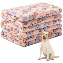 non chewable dog blanket