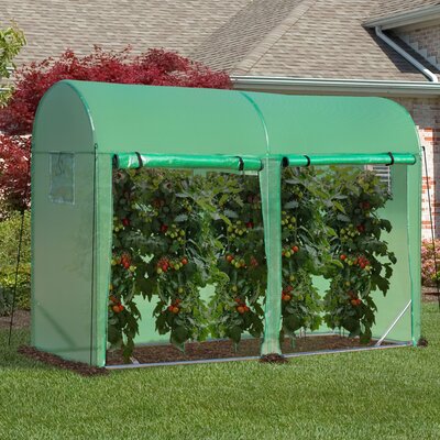 9.8' W x 3.3' D Mini Greenhouse -  Outsunny, 845-431V01
