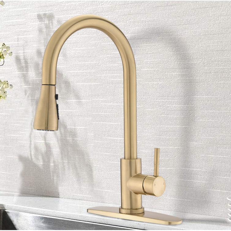 Maxwell Sabine Pull Down Single Handle Kitchen Faucet Reviews Wayfair