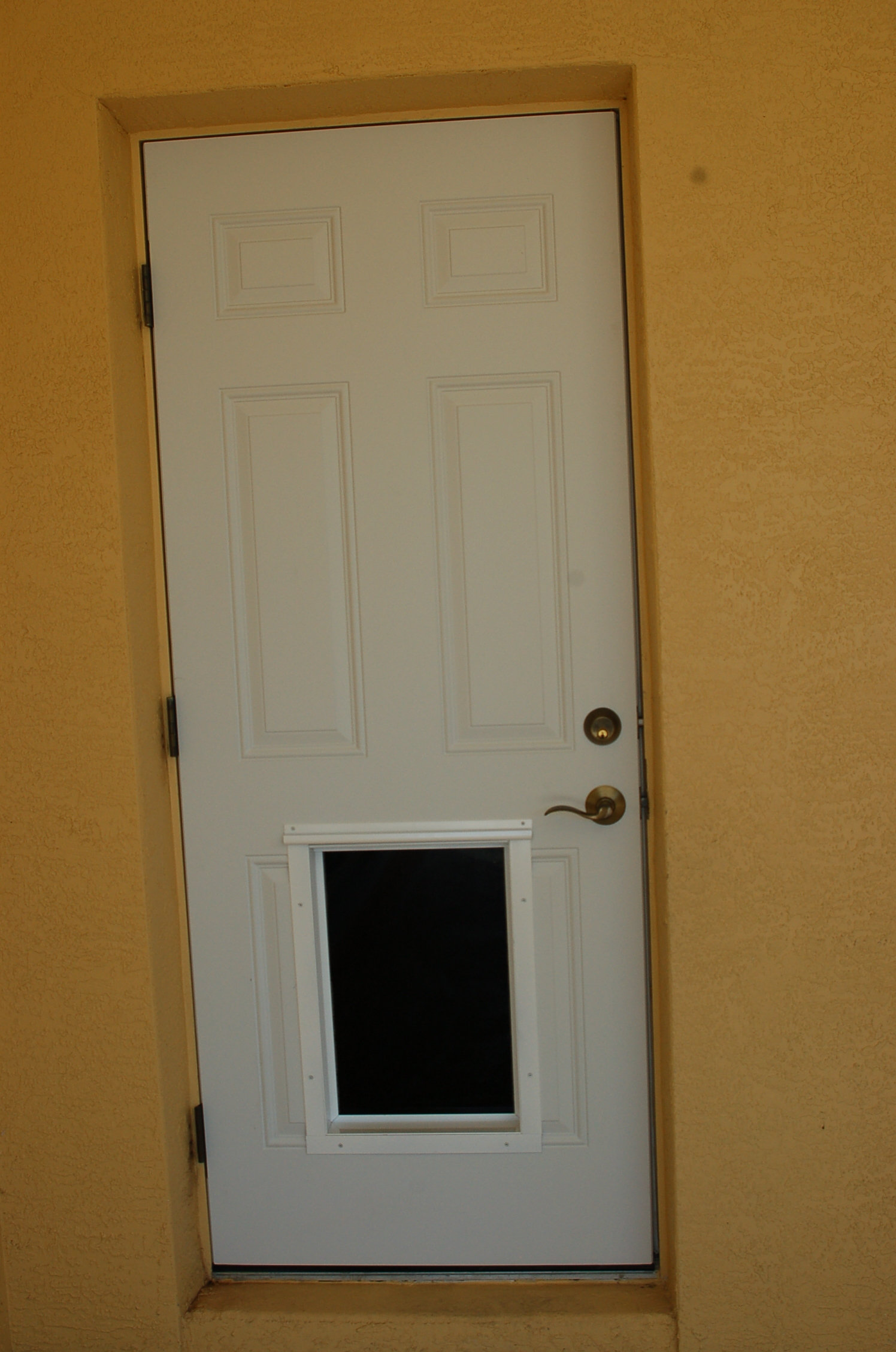 PlexiDor Performance Electronic Pet Door Mount for Dog Wayfair