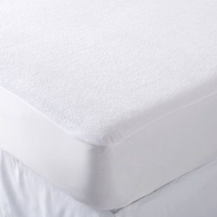 Safe Rest Mattress Protector Wayfair Ca