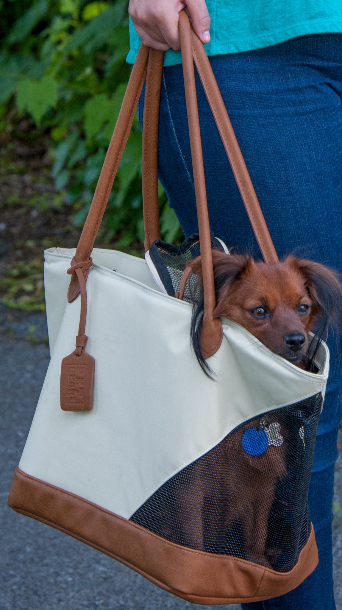 Pet Gear Tote Bag Pet Carrier & Reviews Wayfair