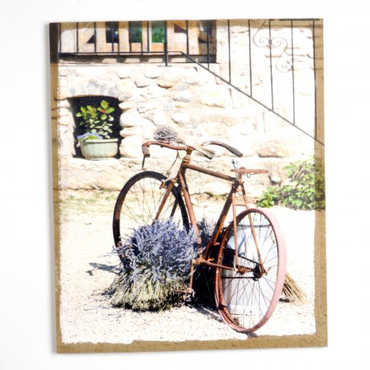 alcott road bike