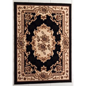 Acker Black Area Rug