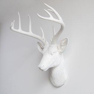 White Deer Head Wall Decor | Wayfair