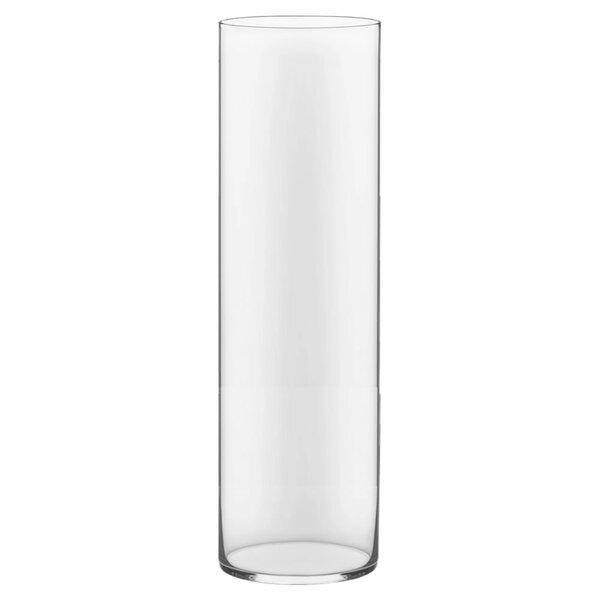 Clear Glass Cylinder Vase & Reviews | AllModern