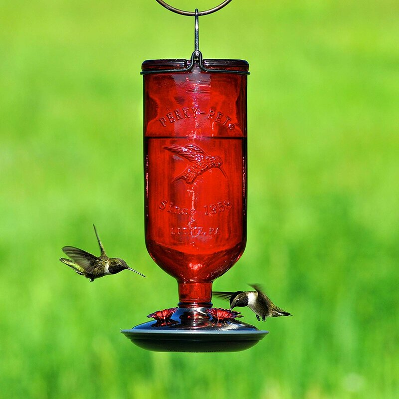 Perky Pet Glass Bottle Nectar Hummingbird Feeder Wayfair